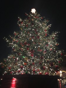 8C1E1EED-2281-4996-AE77-8D78D457AC37