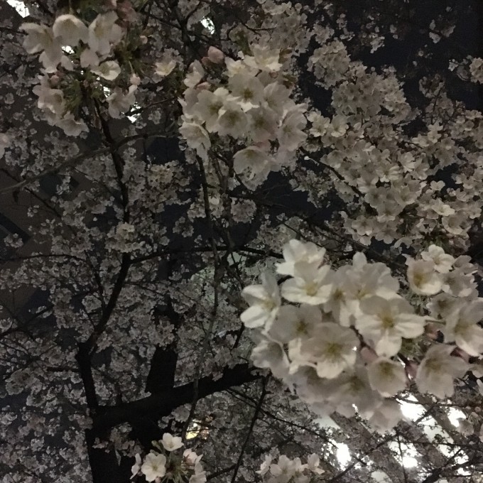 F6440BEB-5F24-48F4-BC4F-EB592FB81F8A