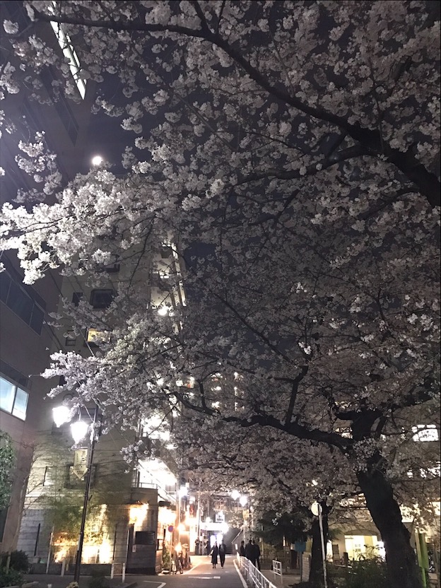 FA3134FE-1FA9-43FA-8540-359B8D3BA353