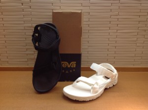 teva2