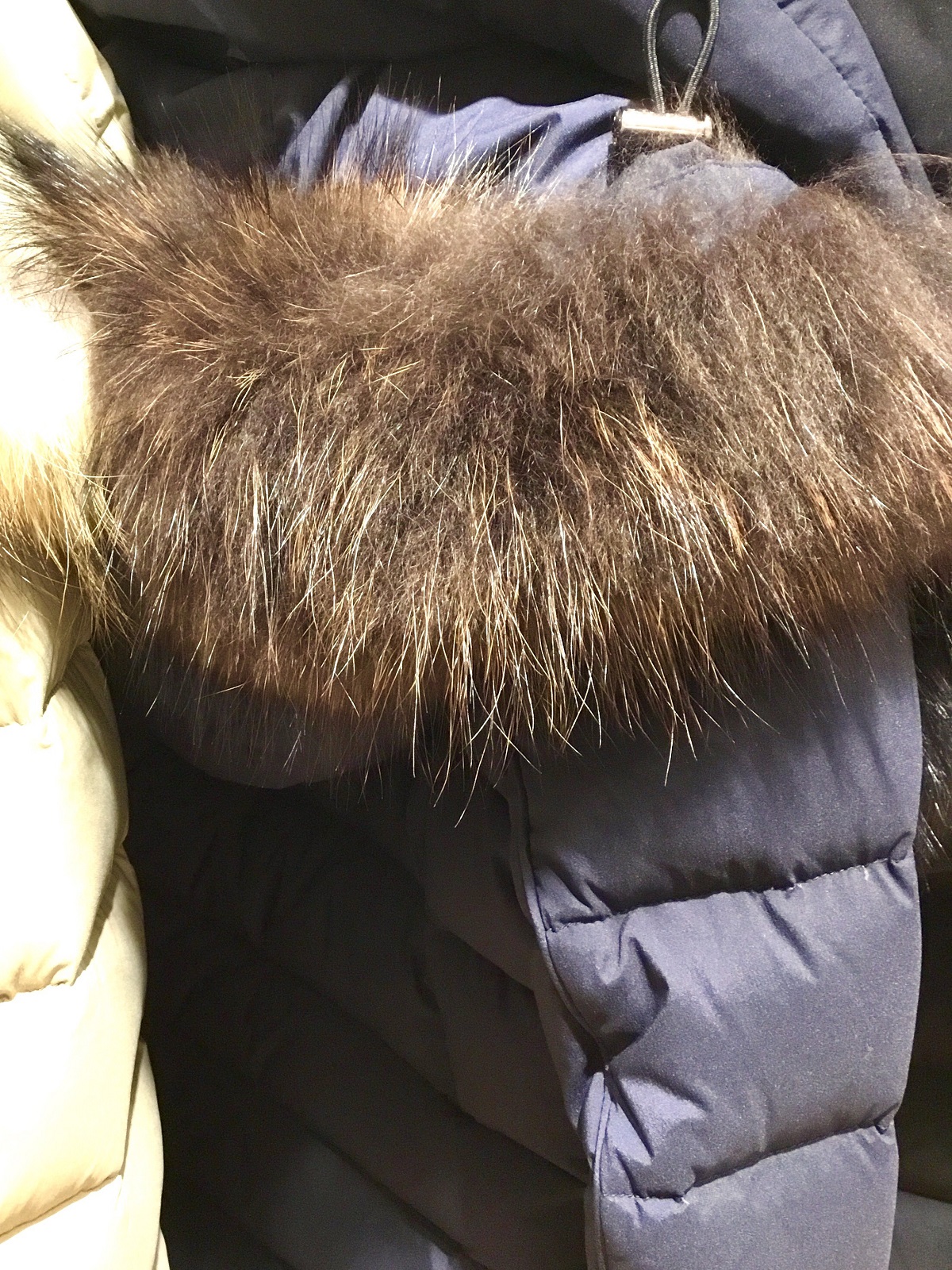 TATRAS：CERAMICA 2017 | SHIPS(シップス) | SHIPS ウィング高輪 WEST