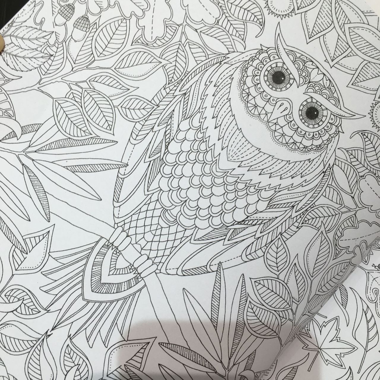 大人の塗り絵始めませんか Rainbow Spectrum たまプラーザ アントレックス公式ブログ