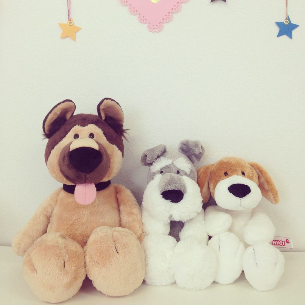 6月新商品 | NICI | アントレックス公式ブログ